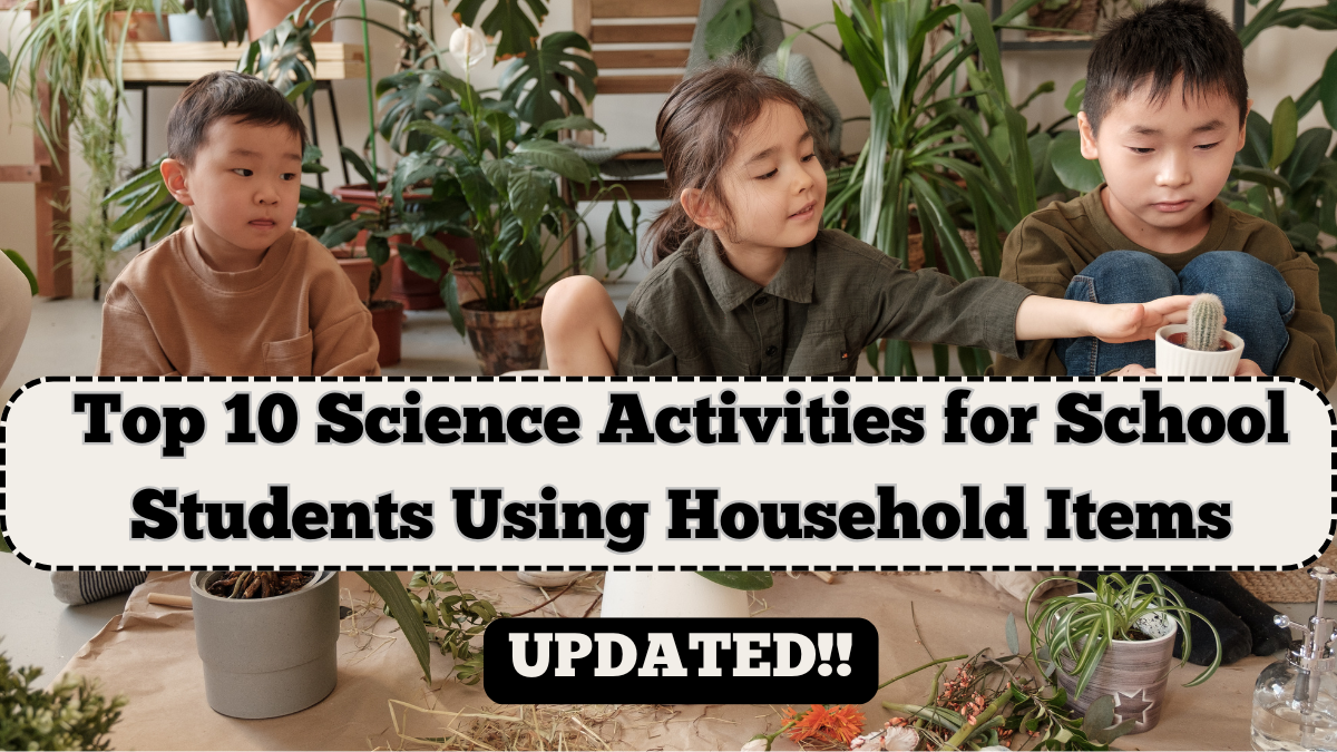 Top 10 Science Activities for School Students Using Household Items