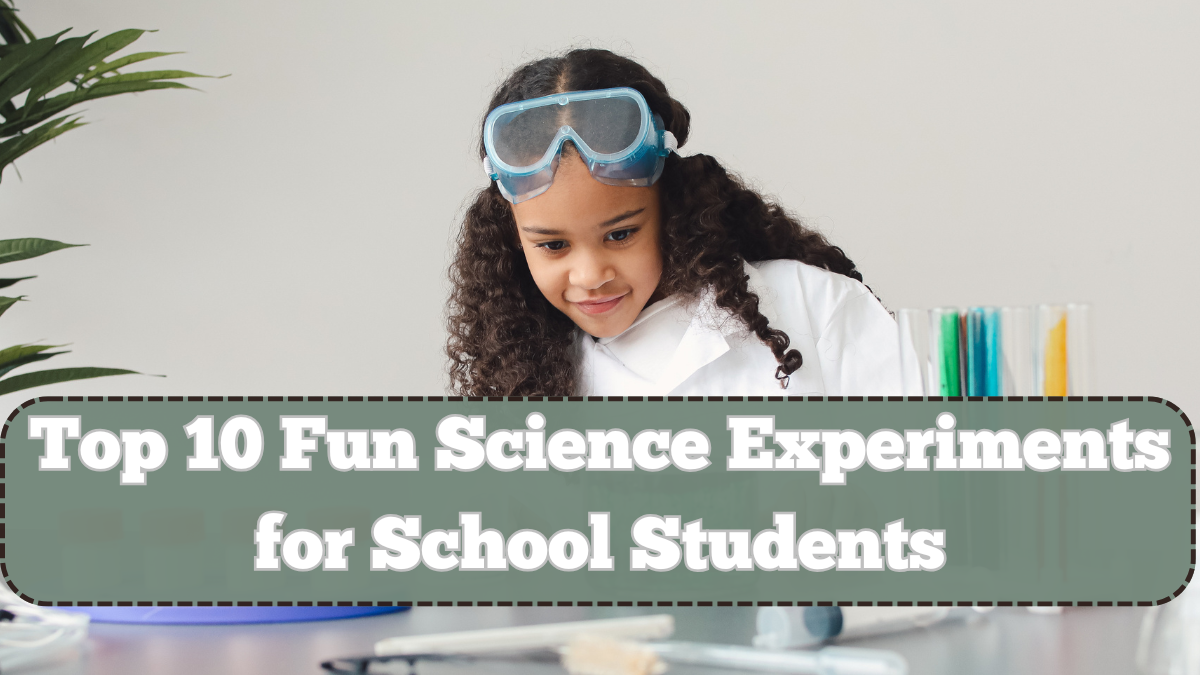 Top 10 Fun Science Experiments for School Students – Easy and Educational