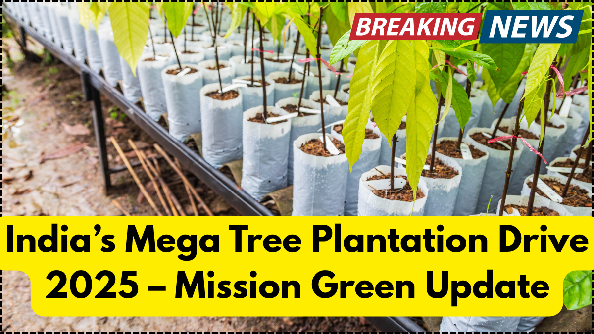 India’s Mega Tree Plantation Drive 2025 – Mission Green Update